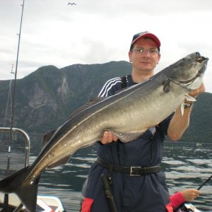 Romsdalfjord 2010 053