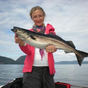 Romsdalfjord 2010 059