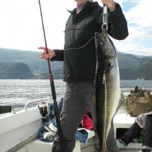 Romsdalfjord 2010 060