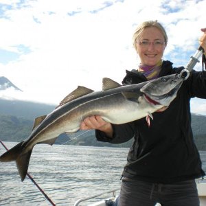 Romsdalfjord 2010 062