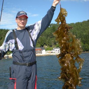 Romsdalfjord 2010 063