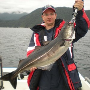 Romsdalfjord 2010 074