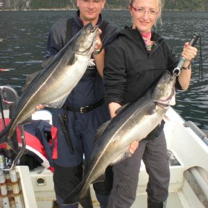 Romsdalfjord 2010 127