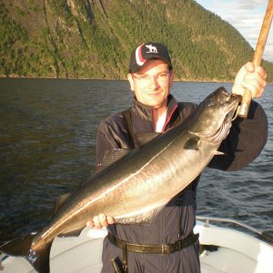 Romsdalfjord 2010 134