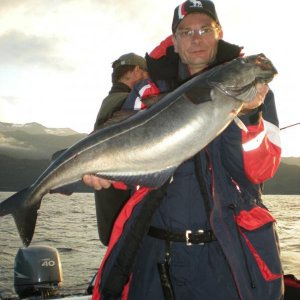 Romsdalfjord 2010 145