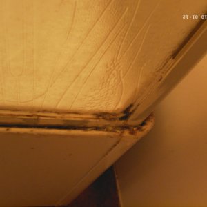 Das ist kein Rost sondern Schimmel