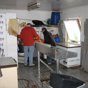 Filetierhaus5