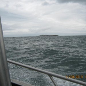 IMG 1454