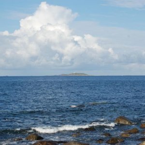 DSC 0101
