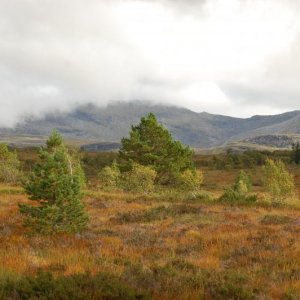 DSC 0200