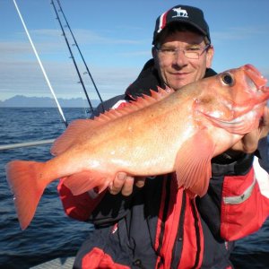 Steigen 2010 048