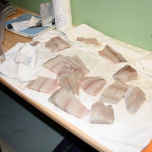 ordentlich portioniert