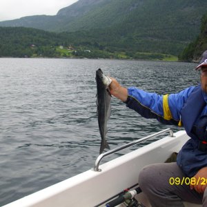 diese Größe wurde wieder freigelassen, wir kommen ja irgendwann wieder