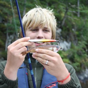 größenwahnsinniger Stintdorsch - Teil zwei