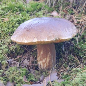 DSC 0058