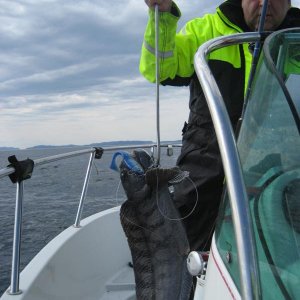 IMG 0081