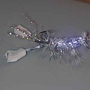 Bild064 (4)