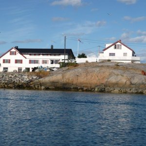 smavaeret 2008 025