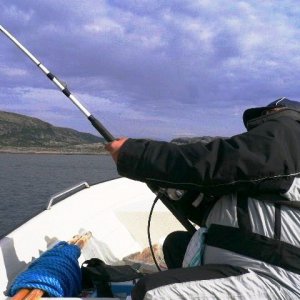 leng 11,5kg-1,25m-smavaeret-2010  02