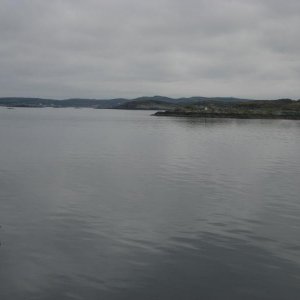 IMG 5250