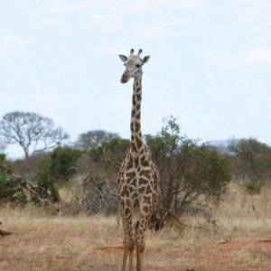 IMG 0402