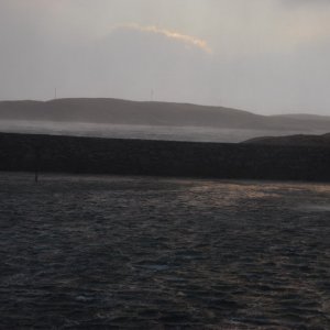 Norwegen 1103 175
