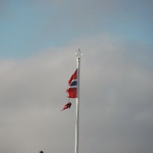 Norwegen 1103 442
