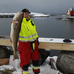 Norwegen 1103 329
