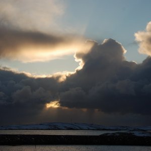 Norwegen 1103 226