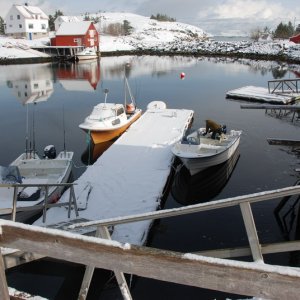 Norwegen 1103 310