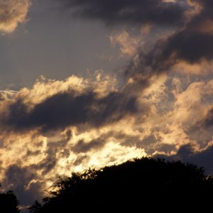 P6220053 800x600
