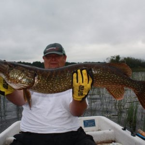 Der Hecht 107 800x533