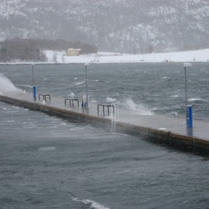 IMG 0294