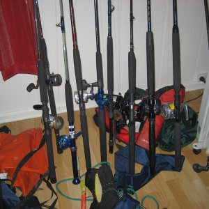 IMG 0284
