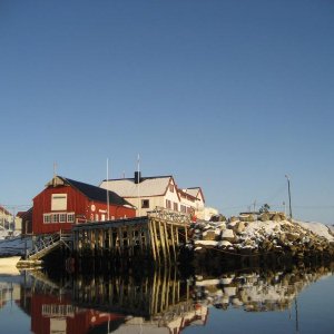 IMG 0352