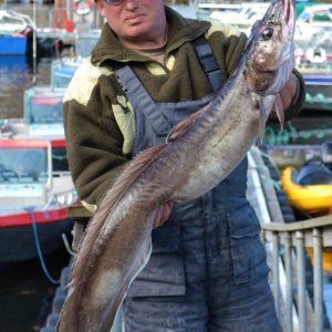 Leng 1,19m+9kg