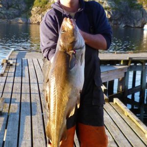 Dorsch 1,12m+14kg