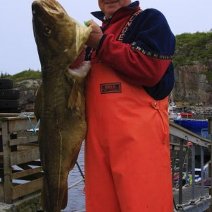Dorsch 1,11m+13,8kg