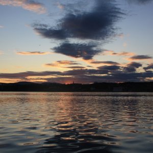 IMG 4784 800x533