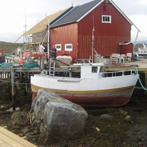 IMG 0426