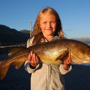 Tankdorsch Skatestraumen