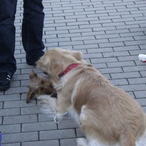 und wer unten liegt, hat noch lange nicht verloren