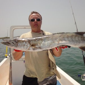 Guinean Barracuda