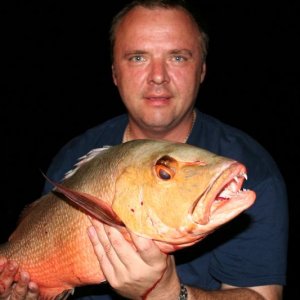 Red Snapper two spotted
