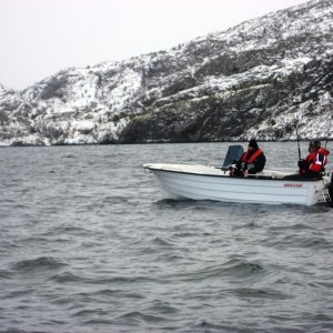 smavaeret 2011 2 040