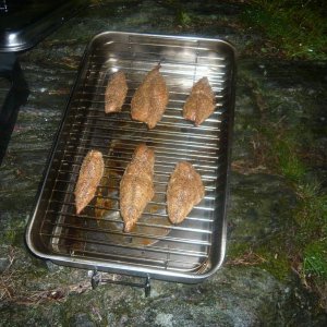 Makrelenfilet