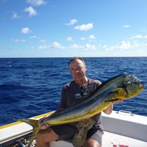 dolphinfish female