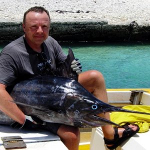 marlin der beinahe killer
