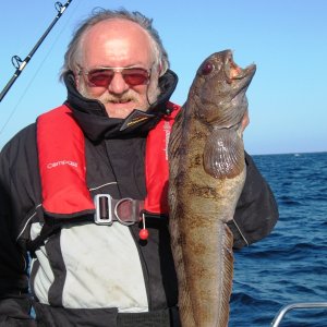 torsvag 2009 17 - mein erserter
beisser