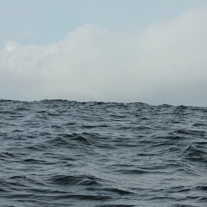1welle3
